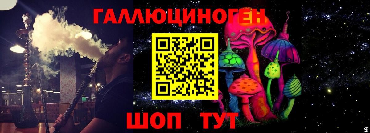 Пенза  Галлюциногенные грибы Cubensis  Вход с VPN 